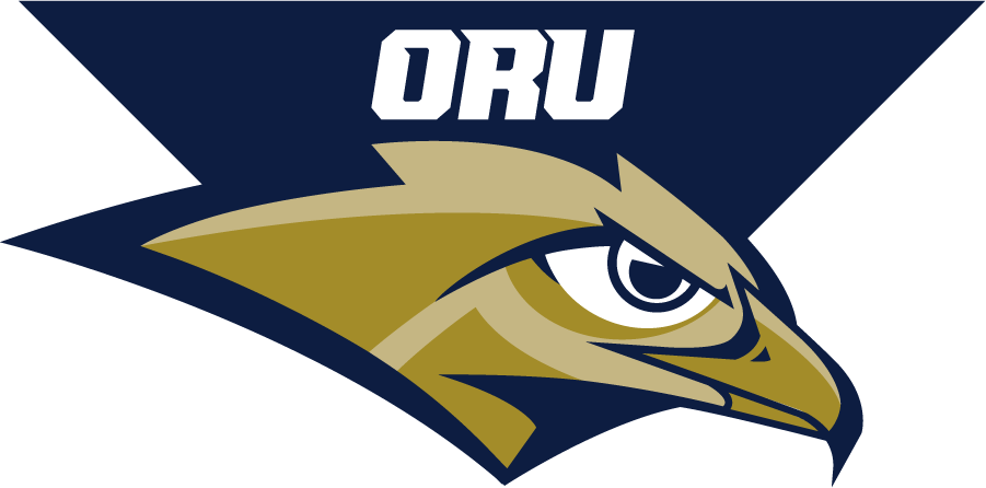 Oral Roberts Golden Eagles 2017-Pres Secondary Logo diy DTF decal sticker